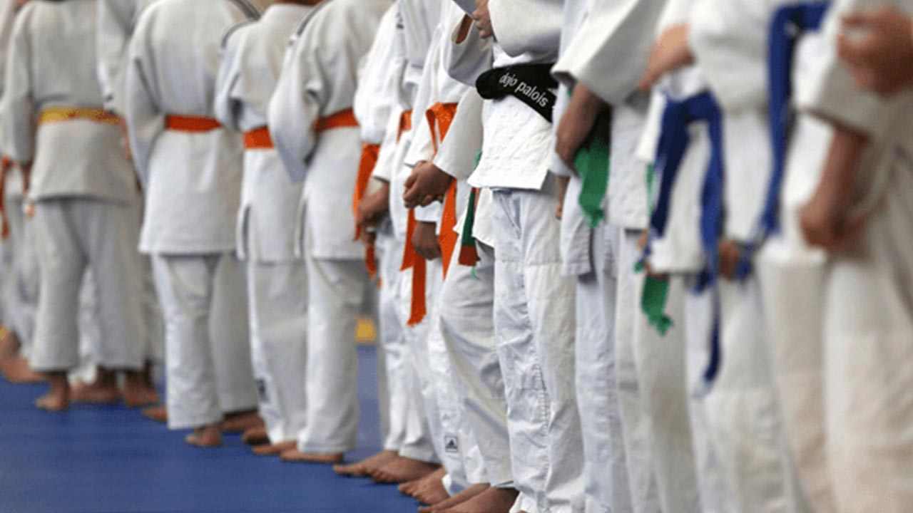 dojo palois presentation